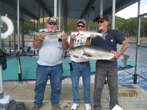Nice Striped Bass